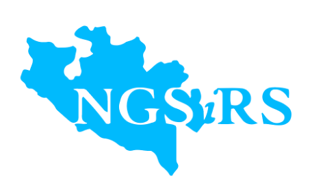 Niger State Internal Revenue Service